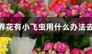 家里养花有小飞虫用什么办法去除 家中养花有小飞虫怎么办