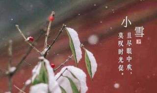 小雪节气吃什么传统食物（小雪节气吃什么食物好）