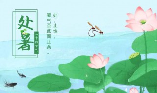 处暑节气吃什么食物（处暑节气养生吃什么）