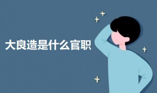 大良造是什么官职（大良造品牌有限责任公司）