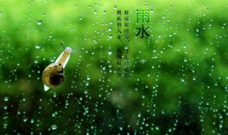 雨水节气吃什么传统食物（雨水节气应该吃什么）