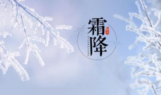 霜降节气的风俗食物（霜降节气有哪些风俗）