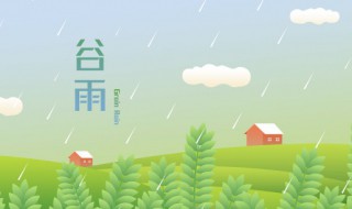 谷雨节气吃什么食物（谷雨节气吃什么食物好药物）