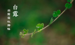 白露节气古诗词 白露节气的古诗4句白居易