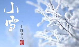 小雪节气养生知识（小雪节气的养生知识）