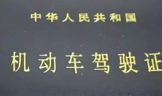 驾照考完的句子 驾照考完的心情语录