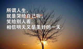 励志正能量15句人生感悟激励 超励志正能量经典感悟人生的说说