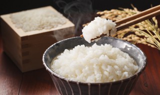 微波炉蒸米饭 微波炉蒸米饭需要多长时间