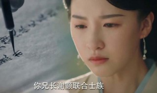 锦绣南歌陆婉儿和陆远介绍（锦绣南歌陆婉儿是谁演的）