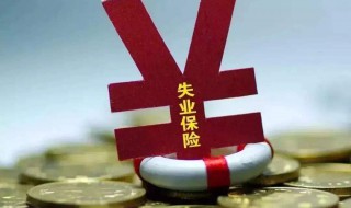 领了失业金和失业补助金的区别 领了失业金和失业补助金的区别是什么