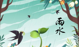 雨水节气养生（雨水节气养生注意事项）