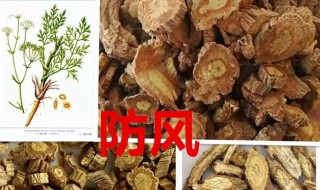 防风的作用与功效 荆芥与防风的作用与功效