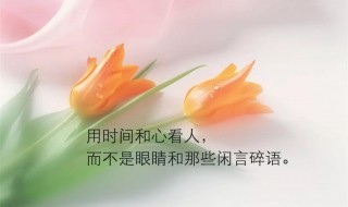 精辟透彻的人生感悟（精辟透彻的人生感悟文句）