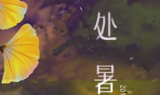 处暑季节代表什么意思（处暑是代表什么）