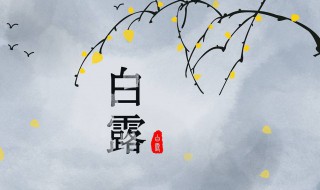 关于白露节气的知识（关于白露节气的知识点）