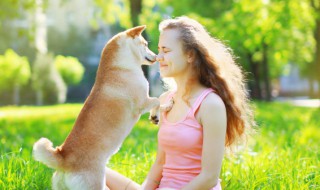 狗狗能吃什么食物清单（狗狗能吃些什么食物啊）
