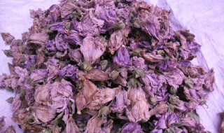 木槿花茶的功效与作用 木槿花茶的功效与作用及禁忌