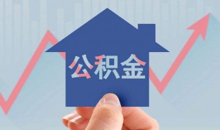 怎么查住房公积金查询个人账户（怎么查住房公积金查询个人账户明细）