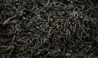 黑茶发霉了还可以喝吗 黑茶发霉了还能喝吗