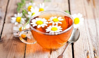 芙蓉花茶适合什么人喝（芙蓉花泡水喝的功效）