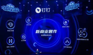 钉钉视频会议都能互相看到吗（钉钉视频会议都能互相看到吗苹果）