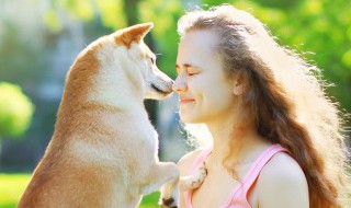 如何自己训练服务犬（怎么训练犬）