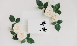 阳光明媚的早安说说（阳光温暖早安的句子说说心情）