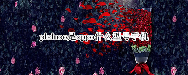 pbdmoo是oppo什么型号手机（oppo手机pbatoo是什么型号的）