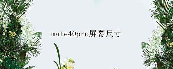 mate40pro屏幕尺寸（华为手机mate40pro屏幕尺寸）