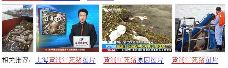 后记:黄浦江死猪事件后猪价下跌