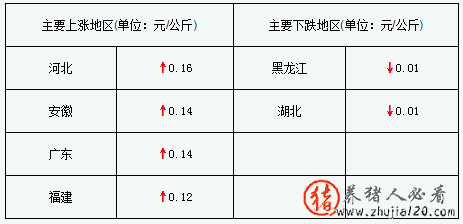 猪评：猪价持续上涨（猪价下跌猪农）