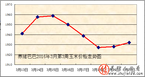 2016年3月第3周玉米价格走势图