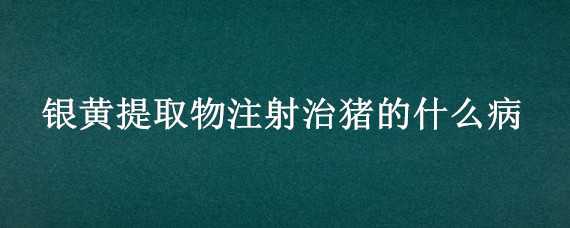 银黄提取物注射治猪的什么病 银黄提取物注射作用兽用猪能用吗