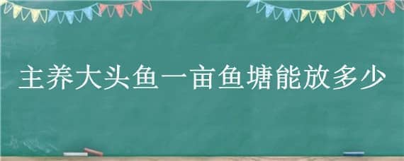 主养大头鱼一亩鱼塘能放多少（一亩田能养多少大头鱼）