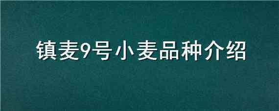 镇麦9号小麦品种介绍（小麦品种临麦9号）