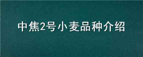 中焦2号小麦品种介绍