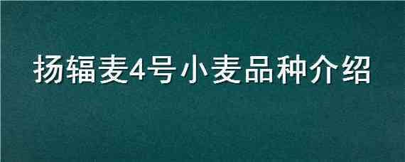 扬辐麦4号小麦品种介绍 扬辐麦4号产量有多少 新闻