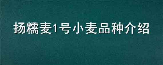 扬糯麦1号小麦品种介绍