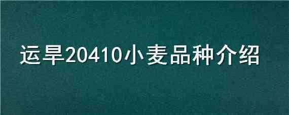 运旱20410小麦品种介绍