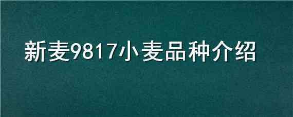 新麦9817小麦品种介绍