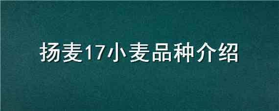 扬麦17小麦品种介绍 鲁麦17小麦品种简介