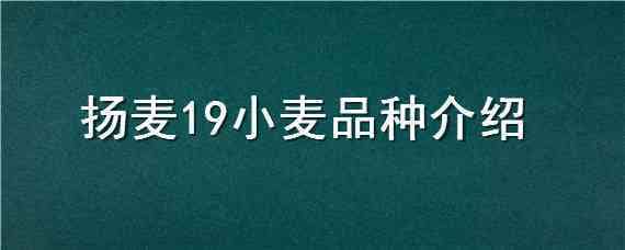 扬麦19小麦品种介绍（扬麦29种植特点是什么）