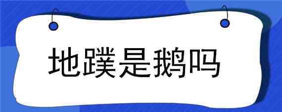 地蹼是鹅吗（天鹅和地蹼的区别）