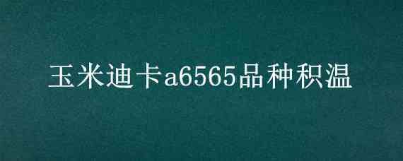 玉米迪卡a6565品种积温 迪卡a6565玉米种子积温多少