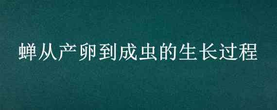 蝉从产卵到成虫的生长过程