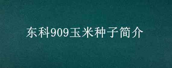 东科909玉米种子简介（玉米品种东科909）