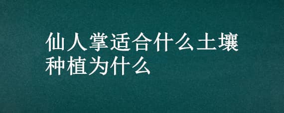 仙人掌适合什么土壤种植为什么（仙人掌适合种植在什么土壤中）