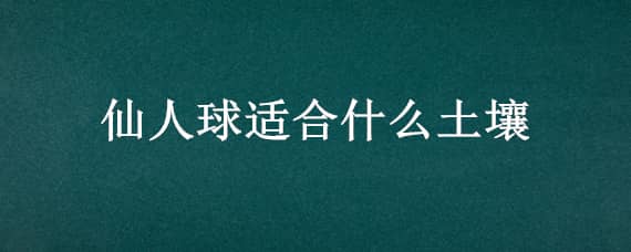 仙人球适合什么土壤 仙人球适合什么样的土壤