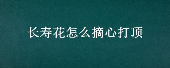 长寿花怎么摘心打顶