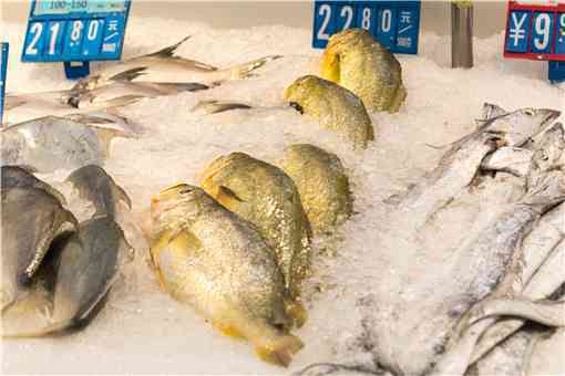 2022年现在大黄鱼价格多少钱一斤 黄鱼多少钱一斤市场价2021